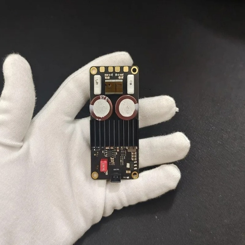 Fever digital amplifier, mono  - Hifi Amplifier Board 评论和价格