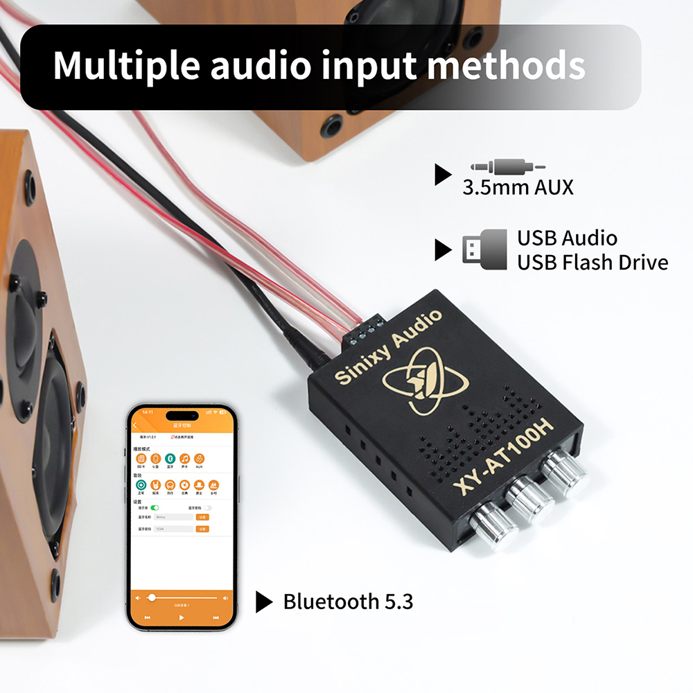 Sinixy Audio XY AT100H TWS Ste - Sbc Audio Amplifier 评论和价格