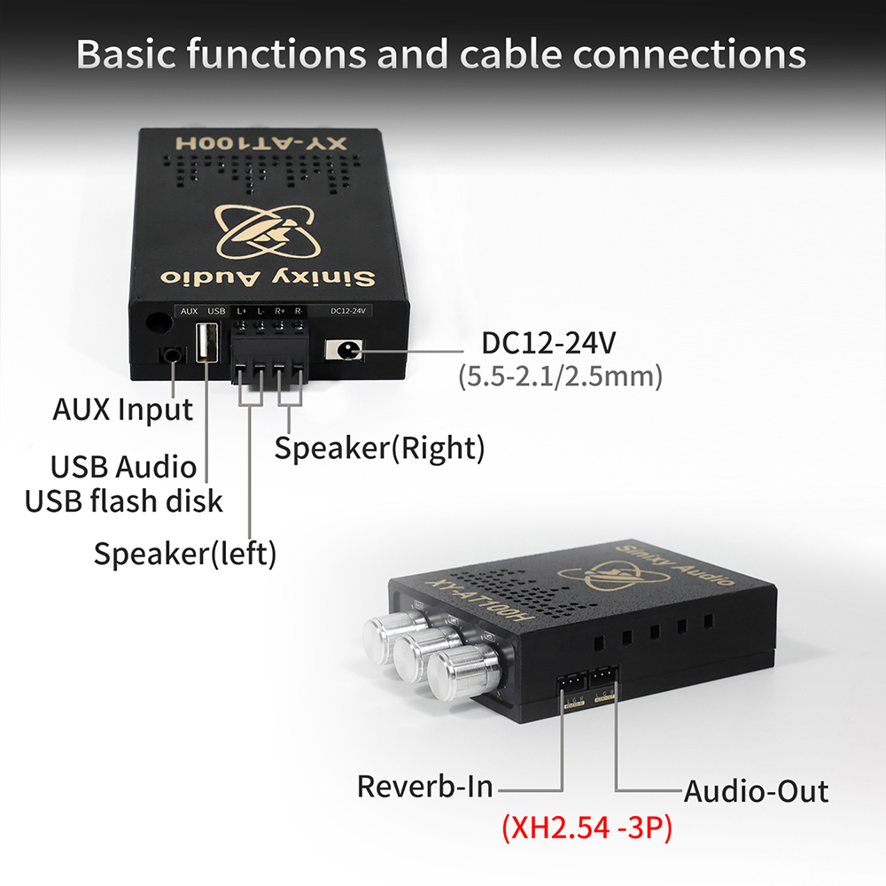 Sinixy Audio XY AT100H TWS Ste - Sbc Audio Amplifier 评论和价格