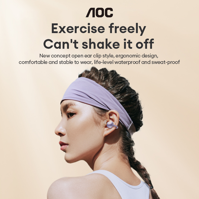 AOC ACD2544 Wireless Bluetooth - Woofer 评论和价格