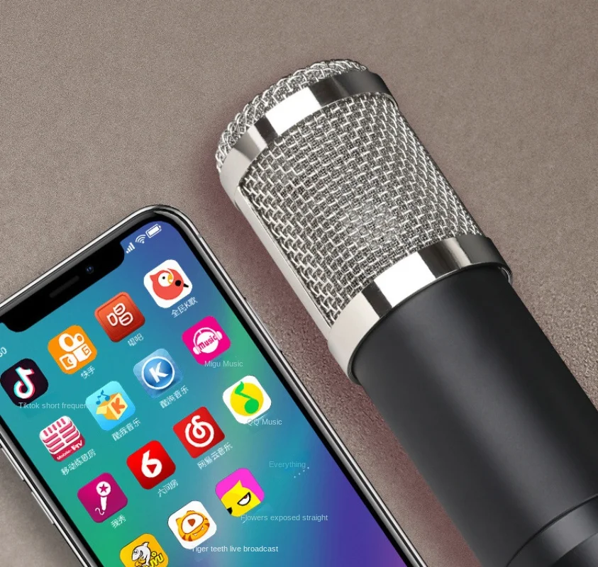 BM800 Condenser Microphone Kit - Condenser Microphone Kit 评论和价格