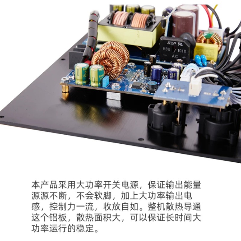 Balanced Signal Input TPA3255  - Hifi Amplifier Board 评论和价格