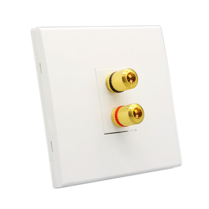 Audio Speaker Wall Panel Termi - Banana Plug 评论和价格