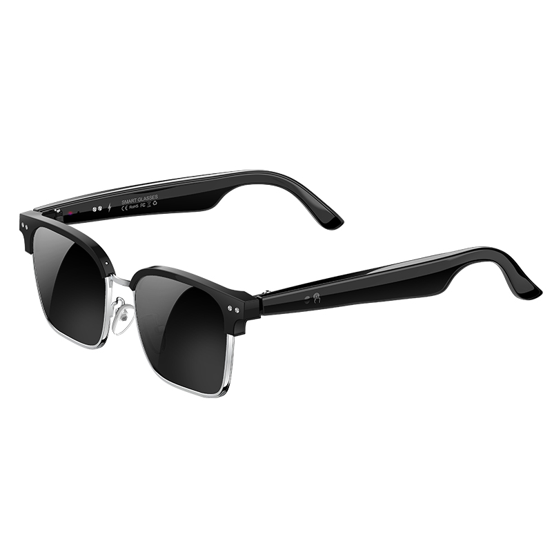W100D AI Smart Glasses Real Ti - Speaker Enclosure 评论和价格
