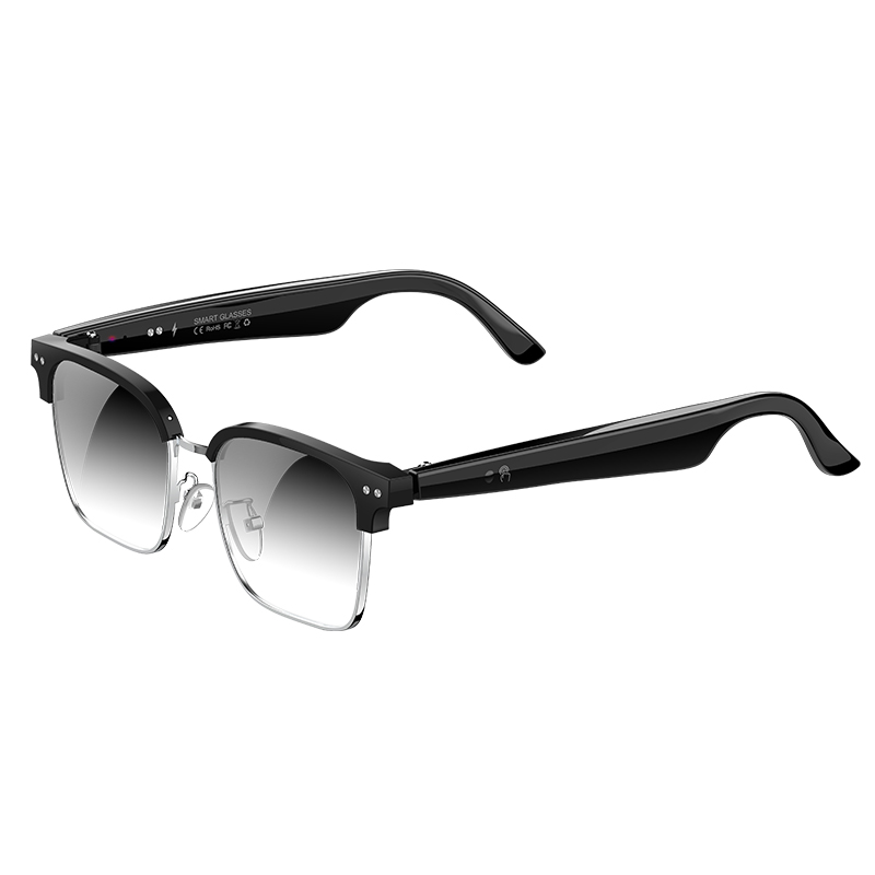 W100D AI Smart Glasses Real Ti - Speaker Enclosure 评论和价格